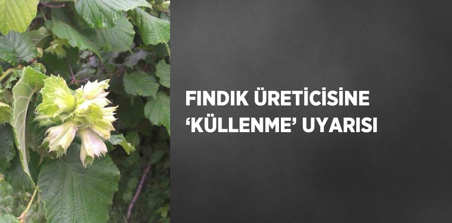 FINDIK ÜRETİCİSİNE ‘KÜLLENME’ UYARISI