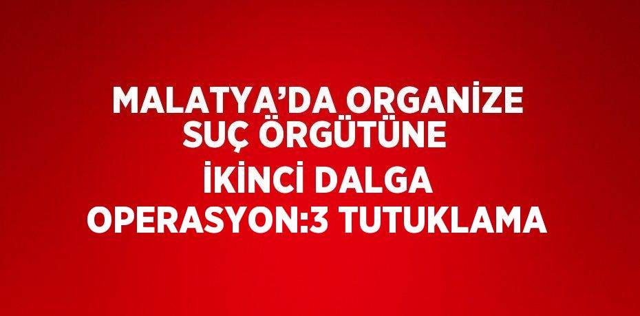 MALATYA’DA ORGANİZE SUÇ ÖRGÜTÜNE İKİNCİ DALGA OPERASYON:3 TUTUKLAMA