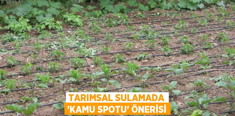 TARIMSAL SULAMADA 'KAMU SPOTU' ÖNERİSİ
