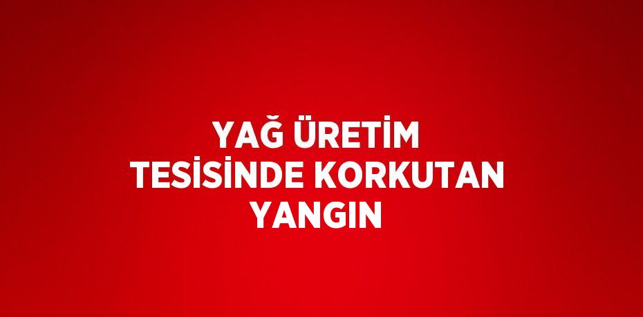 YAĞ ÜRETİM TESİSİNDE KORKUTAN YANGIN