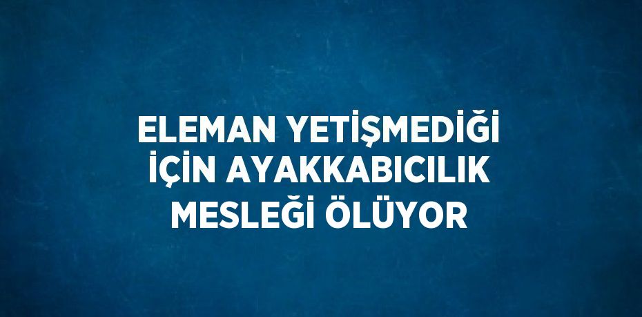 ELEMAN YETİŞMEDİĞİ İÇİN AYAKKABICILIK MESLEĞİ ÖLÜYOR
