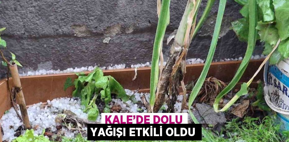 KALE’DE DOLU YAĞIŞI ETKİLİ OLDU