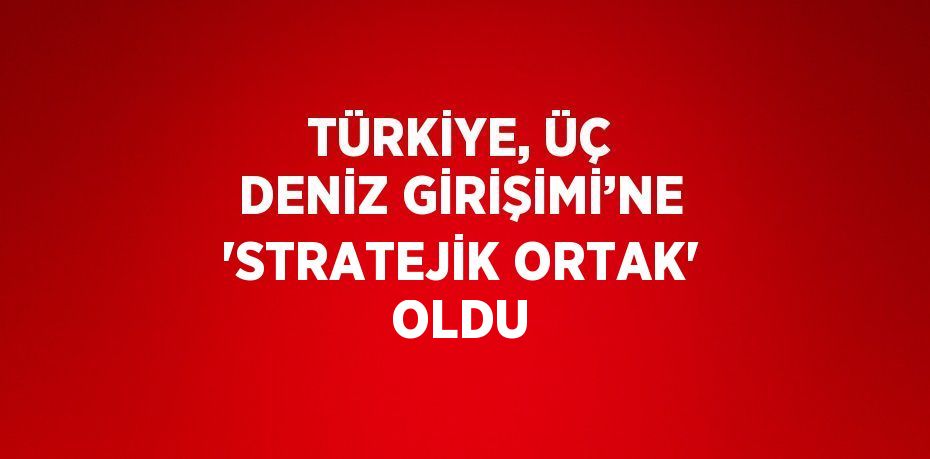 TÜRKİYE, ÜÇ DENİZ GİRİŞİMİ’NE 'STRATEJİK ORTAK' OLDU