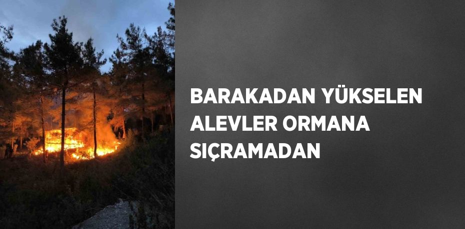 BARAKADAN YÜKSELEN ALEVLER ORMANA SIÇRAMADAN