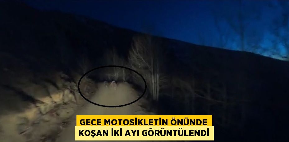 GECE MOTOSİKLETİN ÖNÜNDE KOŞAN İKİ AYI GÖRÜNTÜLENDİ