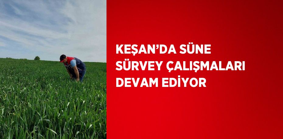 KEŞAN’DA SÜNE SÜRVEY ÇALIŞMALARI DEVAM EDİYOR