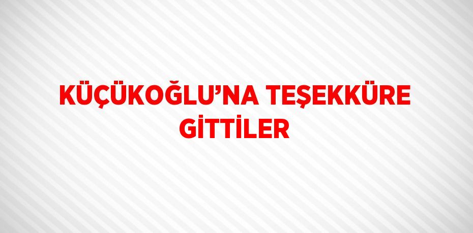 KÜÇÜKOĞLU’NA TEŞEKKÜRE GİTTİLER
