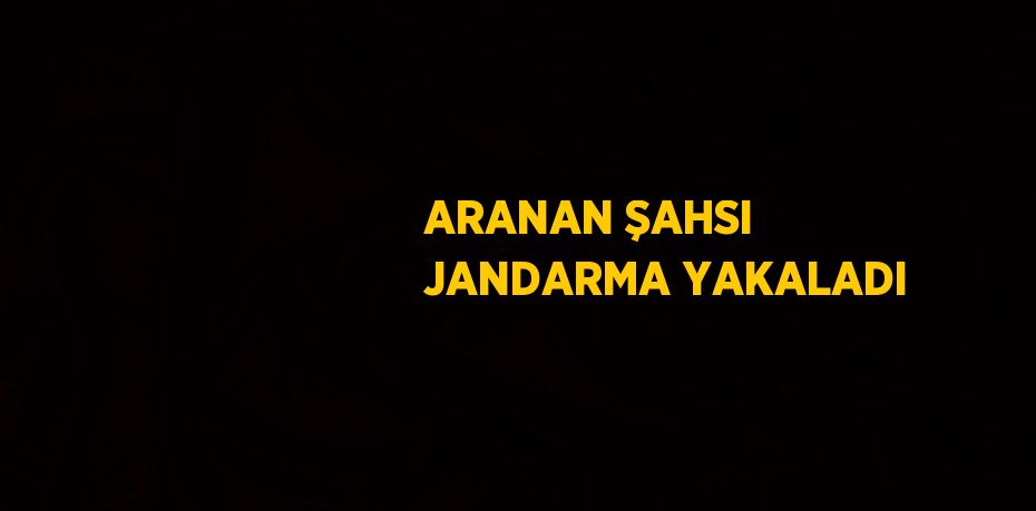 ARANAN ŞAHSI JANDARMA YAKALADI