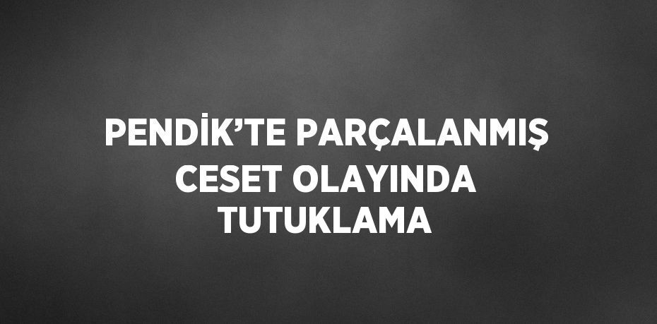 PENDİK’TE PARÇALANMIŞ CESET OLAYINDA TUTUKLAMA