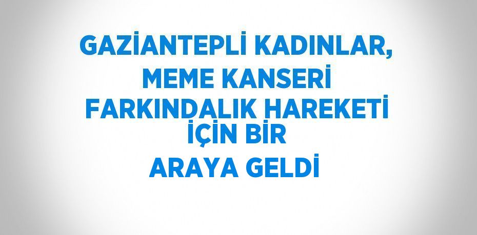 GAZİANTEPLİ KADINLAR, MEME KANSERİ FARKINDALIK HAREKETİ İÇİN BİR ARAYA GELDİ