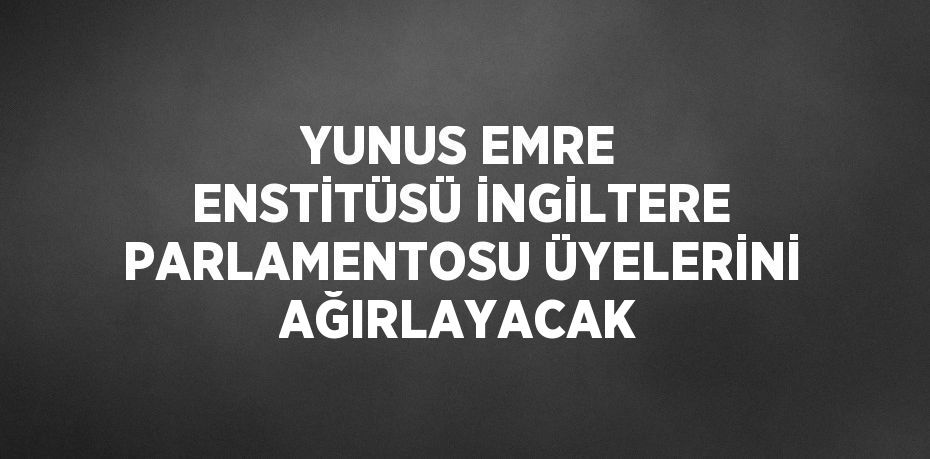 YUNUS EMRE ENSTİTÜSÜ İNGİLTERE PARLAMENTOSU ÜYELERİNİ AĞIRLAYACAK