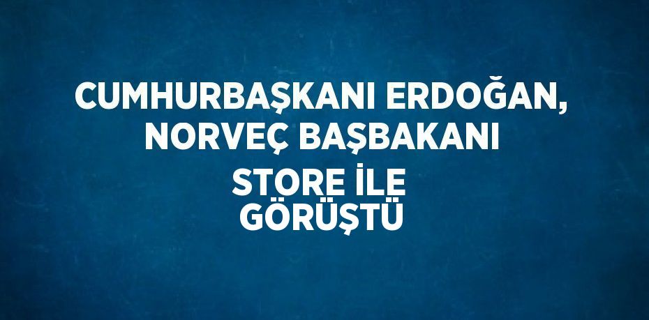 CUMHURBAŞKANI ERDOĞAN, NORVEÇ BAŞBAKANI STORE İLE GÖRÜŞTÜ