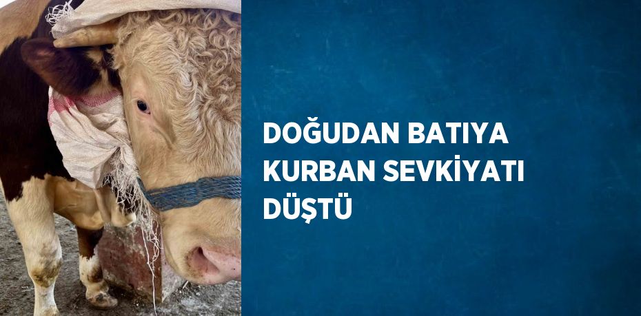 DOĞUDAN BATIYA KURBAN SEVKİYATI DÜŞTÜ