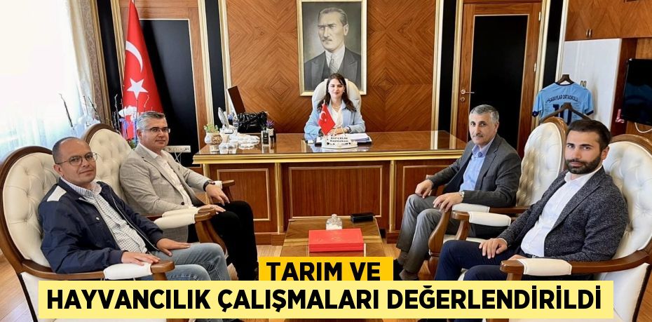 TARIM VE HAYVANCILIK ÇALIŞMALARI DEĞERLENDİRİLDİ