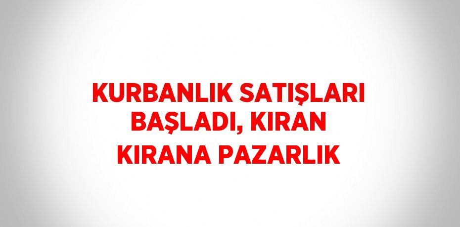 KURBANLIK SATIŞLARI BAŞLADI, KIRAN KIRANA PAZARLIK