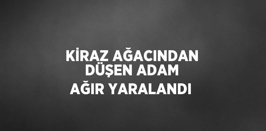 KİRAZ AĞACINDAN DÜŞEN ADAM AĞIR YARALANDI