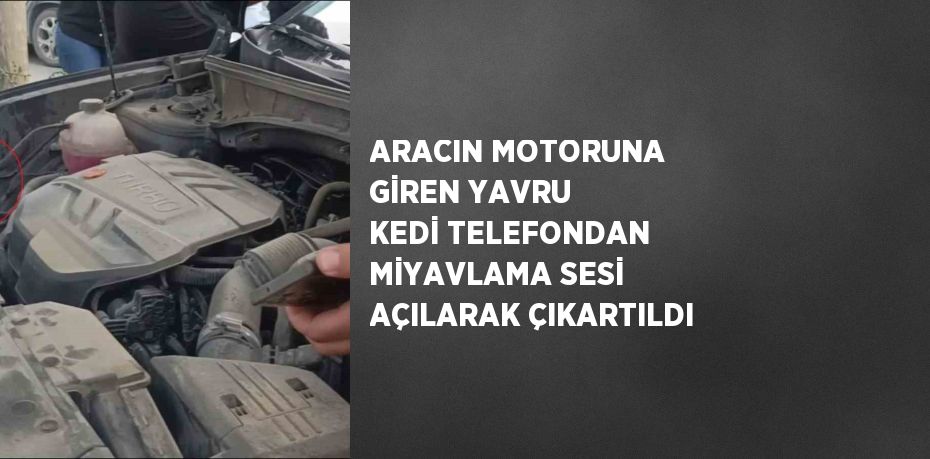 ARACIN MOTORUNA GİREN YAVRU KEDİ TELEFONDAN MİYAVLAMA SESİ AÇILARAK ÇIKARTILDI