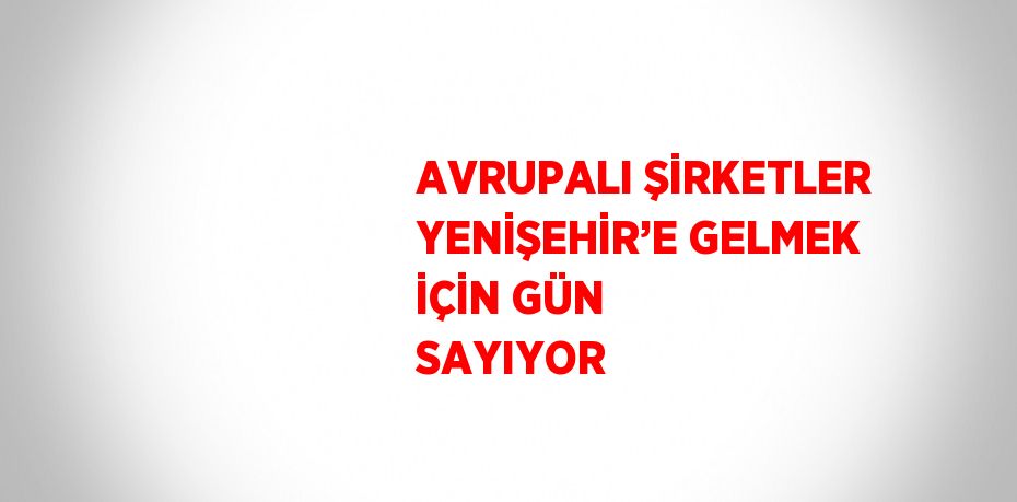 AVRUPALI ŞİRKETLER YENİŞEHİR’E GELMEK İÇİN GÜN SAYIYOR