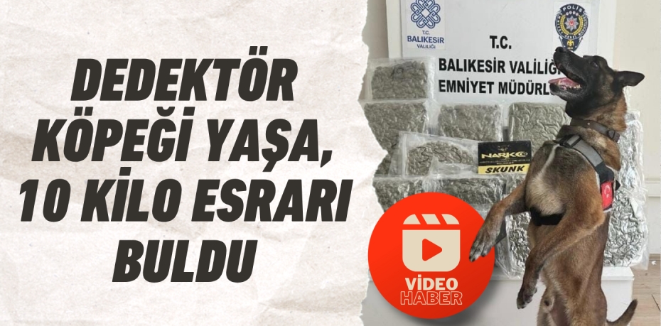 DEDEKTÖR KÖPEĞİ YAŞA, 10 KİLO ESRARI BULDU