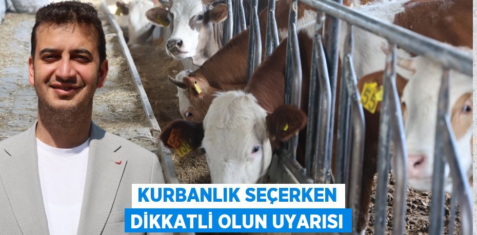 KURBANLIK SEÇERKEN DİKKATLİ OLUN UYARISI