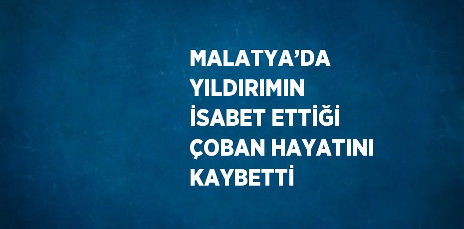 MALATYA’DA YILDIRIMIN İSABET ETTİĞİ ÇOBAN HAYATINI KAYBETTİ