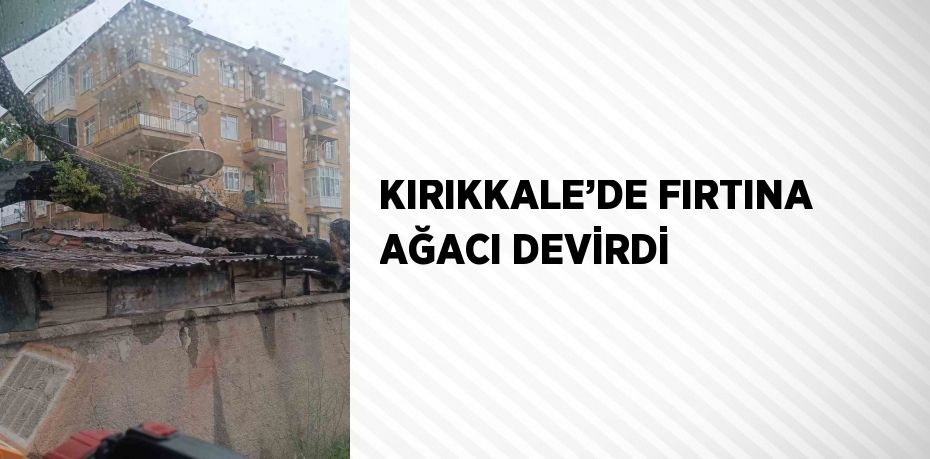 KIRIKKALE’DE FIRTINA AĞACI DEVİRDİ