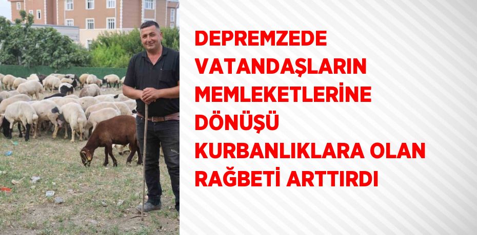 DEPREMZEDE VATANDAŞLARIN MEMLEKETLERİNE DÖNÜŞÜ KURBANLIKLARA OLAN RAĞBETİ ARTTIRDI