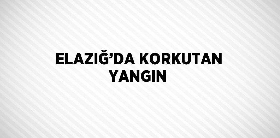 ELAZIĞ’DA KORKUTAN YANGIN