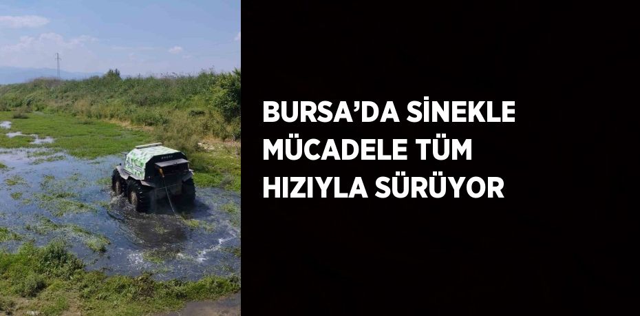 BURSA’DA SİNEKLE MÜCADELE TÜM HIZIYLA SÜRÜYOR