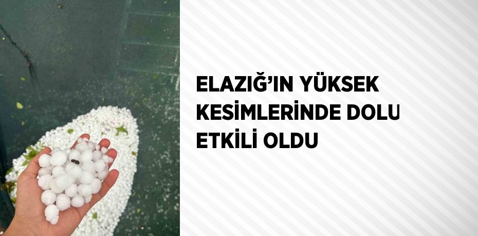 ELAZIĞ’IN YÜKSEK KESİMLERİNDE DOLU ETKİLİ OLDU