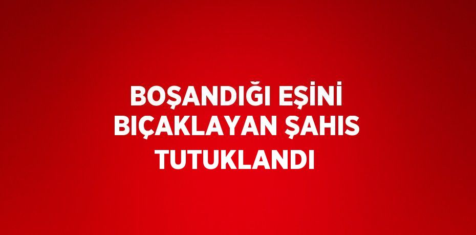BOŞANDIĞI EŞİNİ BIÇAKLAYAN ŞAHIS TUTUKLANDI