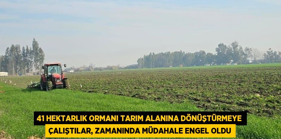 41 HEKTARLIK ORMANI TARIM ALANINA DÖNÜŞTÜRMEYE ÇALIŞTILAR, ZAMANINDA MÜDAHALE ENGEL OLDU