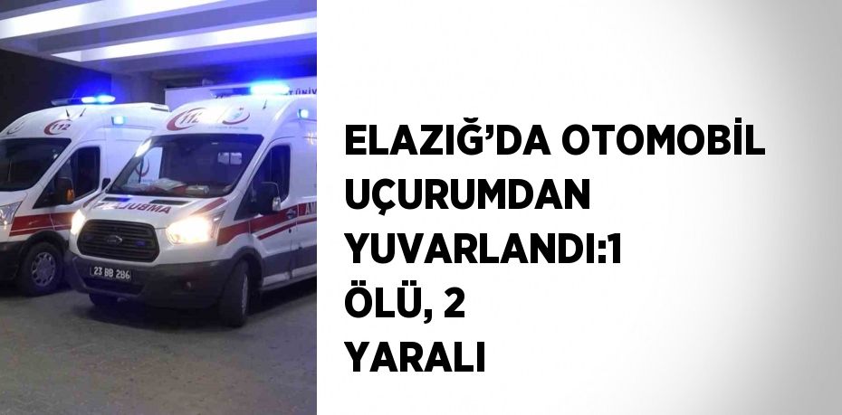 ELAZIĞ’DA OTOMOBİL UÇURUMDAN YUVARLANDI:1 ÖLÜ, 2 YARALI