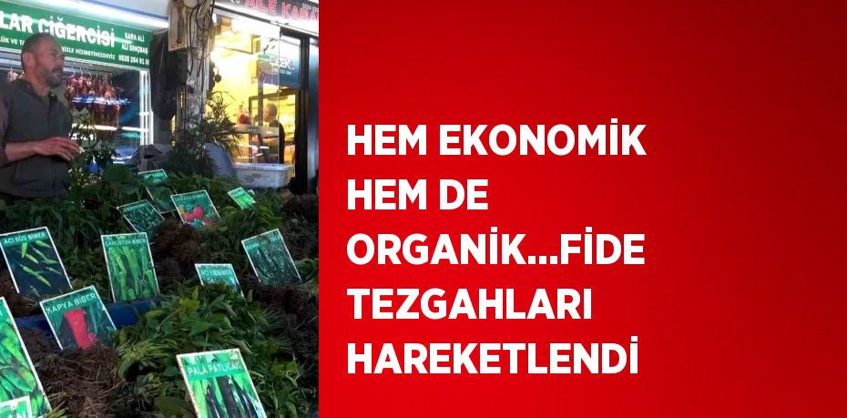 HEM EKONOMİK HEM DE ORGANİK...FİDE TEZGAHLARI HAREKETLENDİ