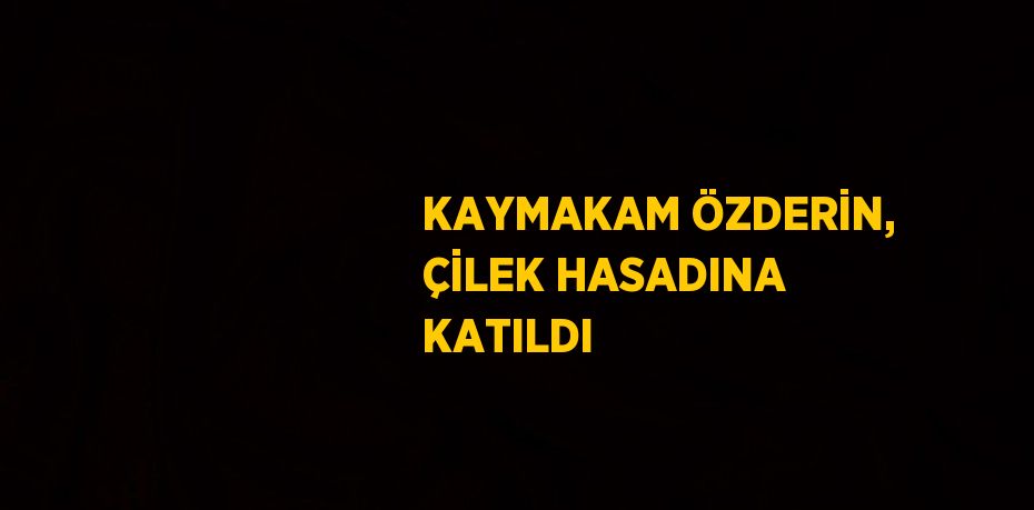 KAYMAKAM ÖZDERİN, ÇİLEK HASADINA KATILDI