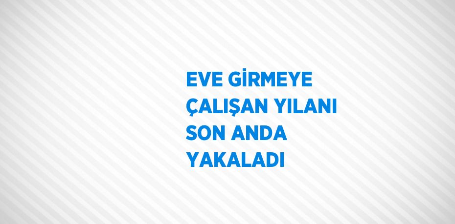 EVE GİRMEYE ÇALIŞAN YILANI SON ANDA YAKALADI