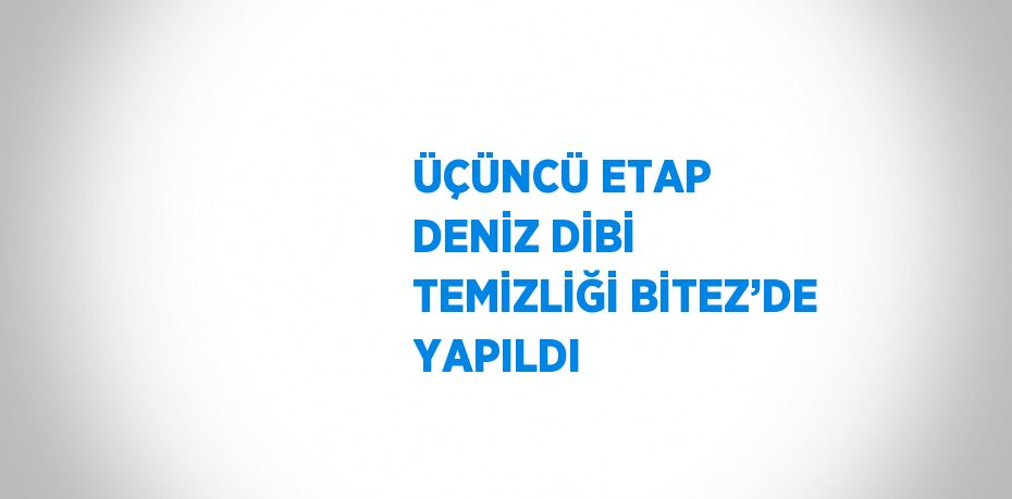 ÜÇÜNCÜ ETAP DENİZ DİBİ TEMİZLİĞİ BİTEZ’DE YAPILDI