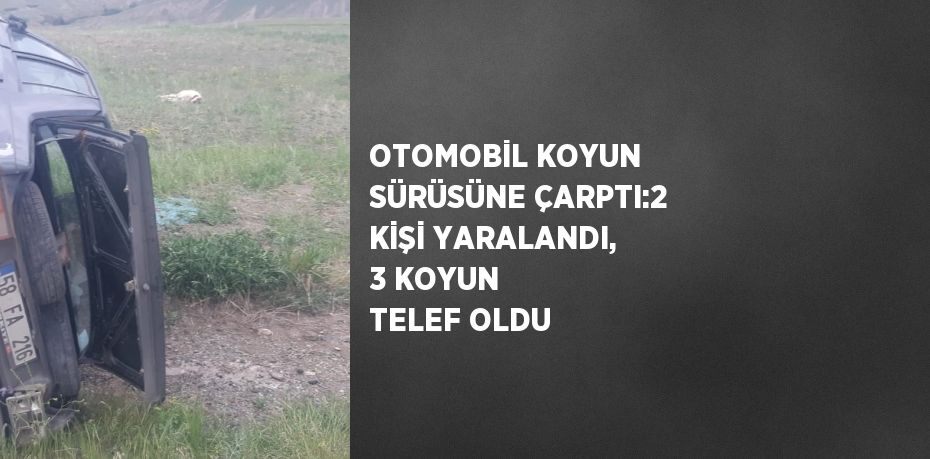OTOMOBİL KOYUN SÜRÜSÜNE ÇARPTI:2 KİŞİ YARALANDI, 3 KOYUN TELEF OLDU