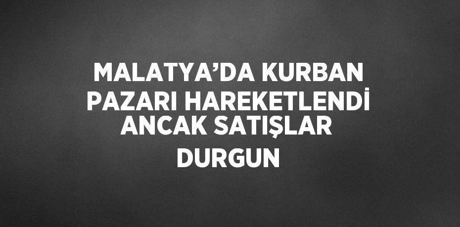 MALATYA’DA KURBAN PAZARI HAREKETLENDİ ANCAK SATIŞLAR DURGUN