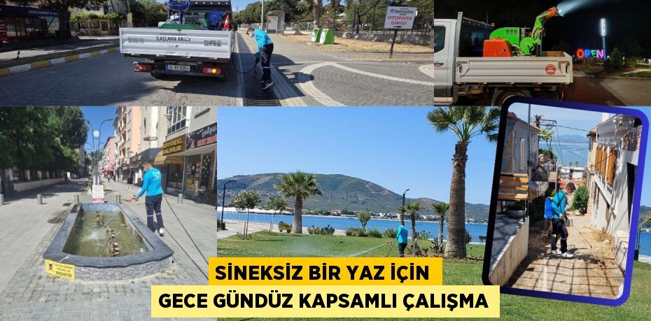SİNEKSİZ BİR YAZ İÇİN GECE GÜNDÜZ KAPSAMLI ÇALIŞMA