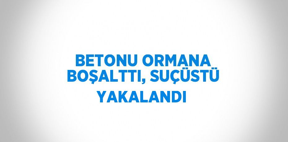 BETONU ORMANA BOŞALTTI, SUÇÜSTÜ YAKALANDI