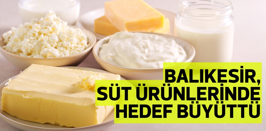 BALIKESİR, SÜT ÜRÜNLERİNDE HEDEF BÜYÜTTÜ