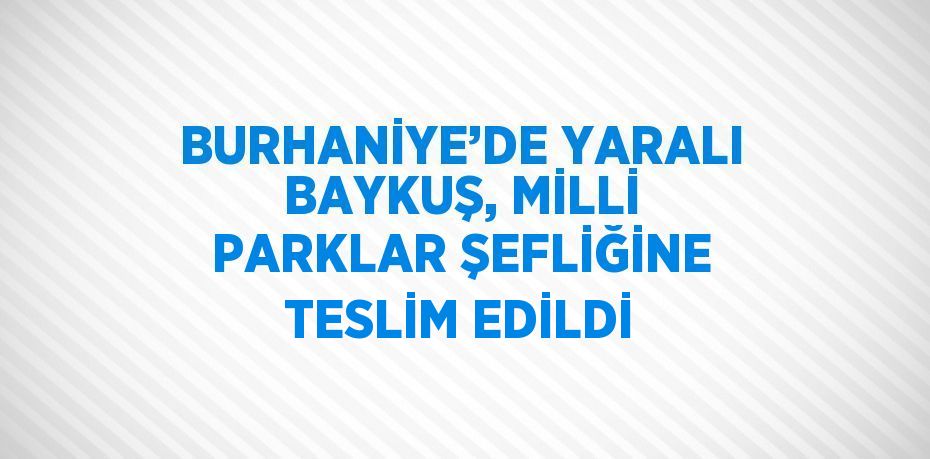 BURHANİYE’DE YARALI BAYKUŞ, MİLLİ PARKLAR ŞEFLİĞİNE TESLİM EDİLDİ