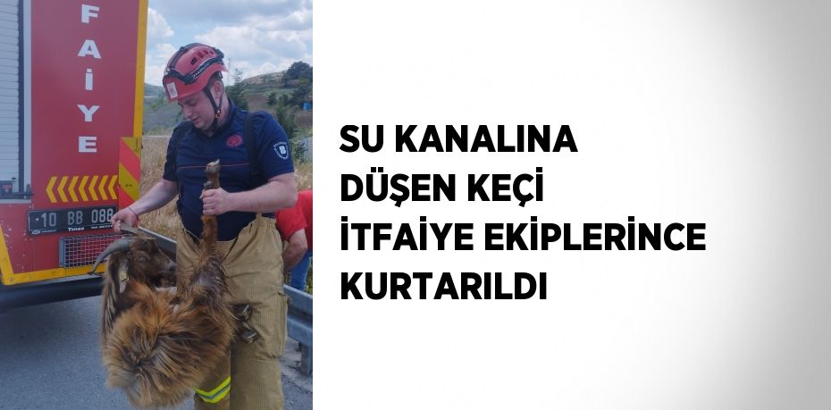 SU KANALINA DÜŞEN KEÇİ İTFAİYE EKİPLERİNCE KURTARILDI