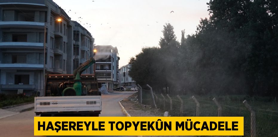 HAŞEREYLE TOPYEKÛN MÜCADELE