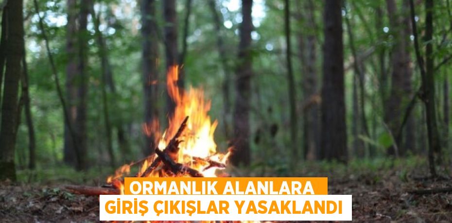 ORMANLIK ALANLARA  GİRİŞ ÇIKIŞLAR YASAKLANDI