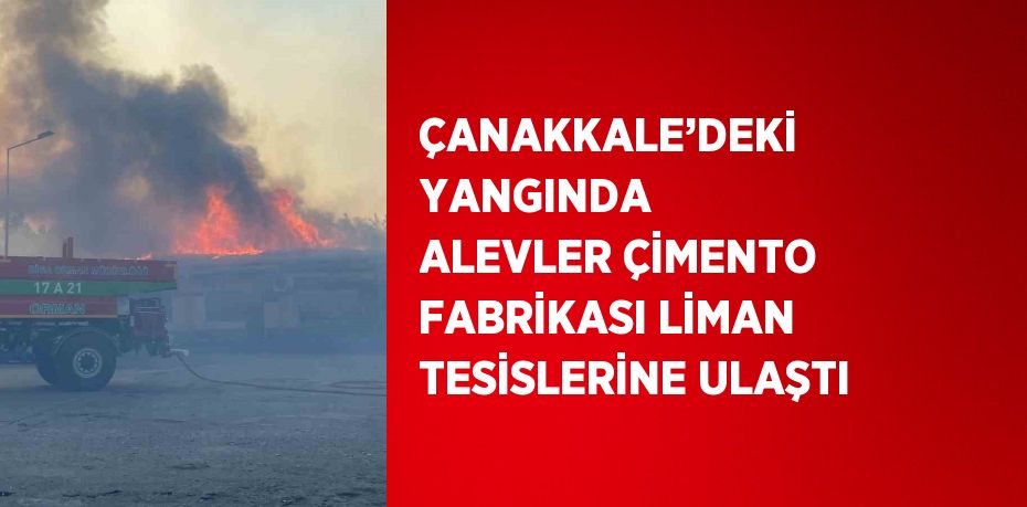 ÇANAKKALE’DEKİ YANGINDA ALEVLER ÇİMENTO FABRİKASI LİMAN TESİSLERİNE ULAŞTI