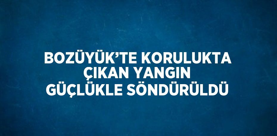 BOZÜYÜK’TE KORULUKTA ÇIKAN YANGIN GÜÇLÜKLE SÖNDÜRÜLDÜ