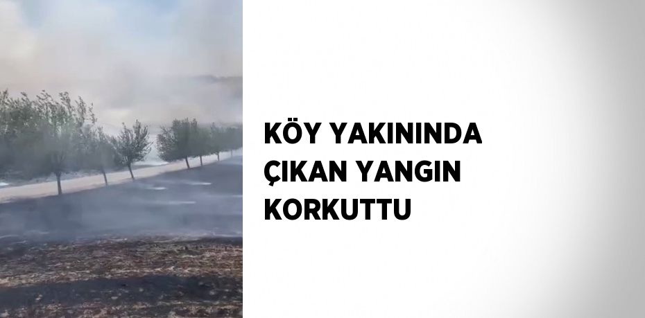 KÖY YAKININDA ÇIKAN YANGIN KORKUTTU