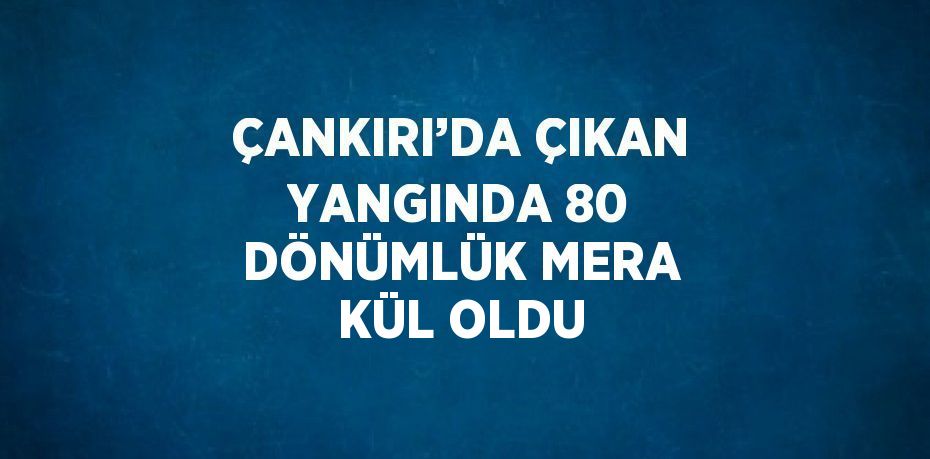 ÇANKIRI’DA ÇIKAN YANGINDA 80 DÖNÜMLÜK MERA KÜL OLDU